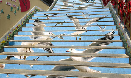 Photo: Seagull Stairs, by EastWestPhotos