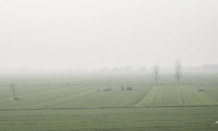 Photo: Somewhere, China, by Lei Han